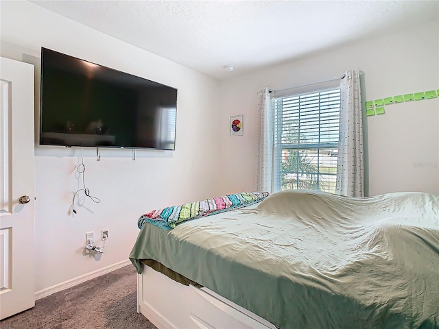 bedroom featuring carpet floors