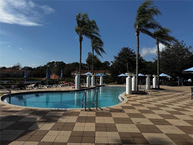 view of swimming pool featuring a patio