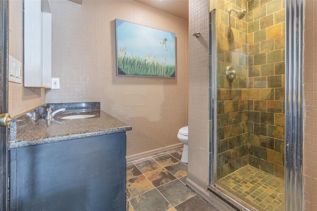 bathroom featuring vanity, toilet, and a shower with door