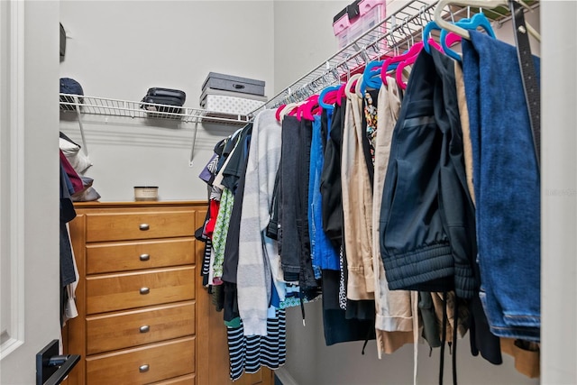 view of spacious closet