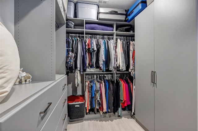 view of spacious closet