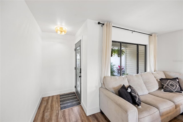 living room featuring wood-type flooring