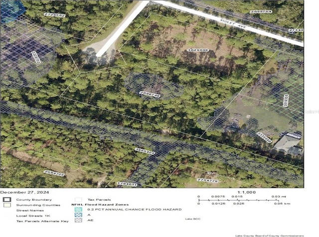 Tamarac St, Eustis FL, 32736 land for sale