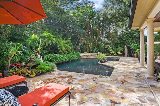 view of swimming pool with a patio