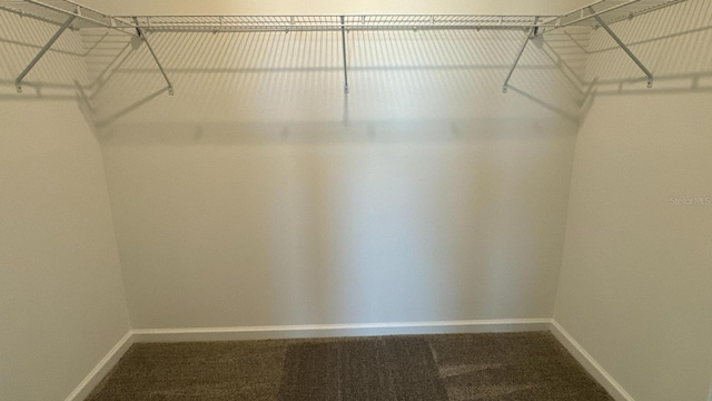 walk in closet with carpet