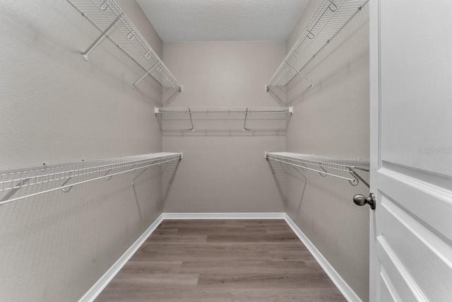 spacious closet with hardwood / wood-style flooring