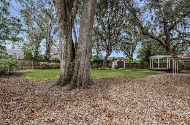 view of yard with a storage shed