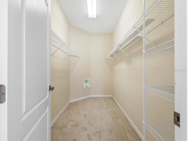 walk in closet featuring light colored carpet