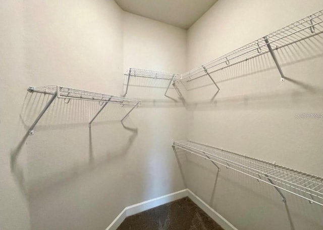 spacious closet with carpet floors