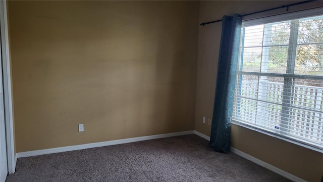 spare room featuring carpet flooring