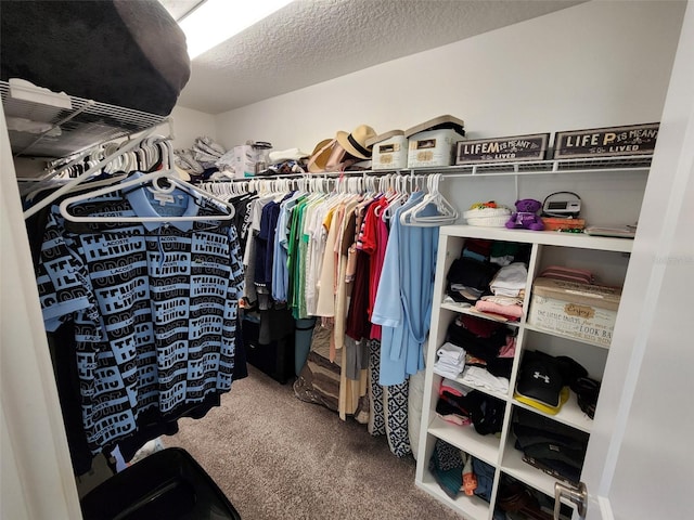 spacious closet with carpet floors