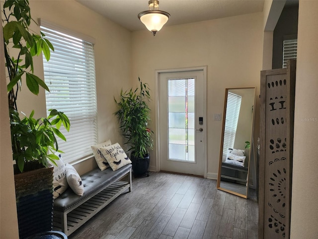 doorway to outside with plenty of natural light