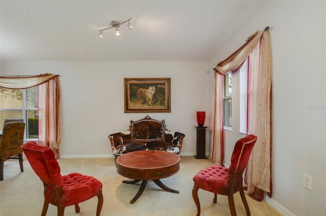 living area with light colored carpet