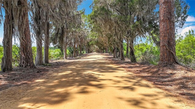 7311 Circle Dr, Lady Lake, FL 32159 - photo 10