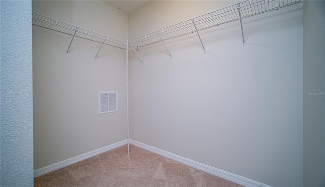 spacious closet with carpet flooring