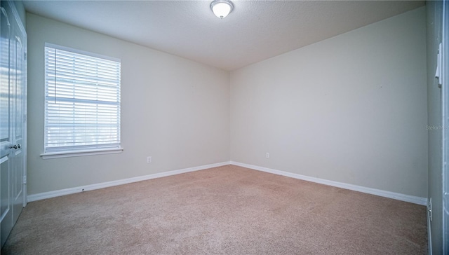 spare room with carpet