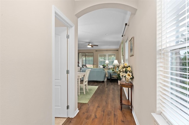 hall with dark hardwood / wood-style flooring