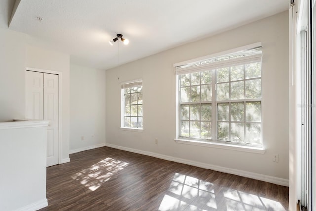 interior space featuring dark hardwood / wood-style flooring and a healthy amount of sunlight