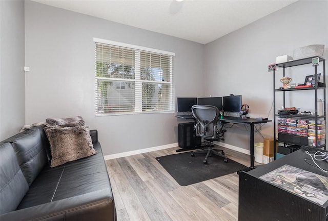 office space featuring wood-type flooring