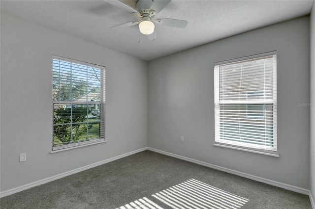 spare room with ceiling fan and carpet