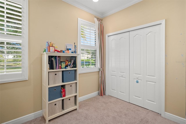 playroom with crown molding and light carpet