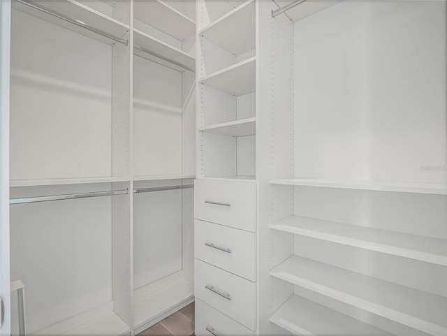 view of walk in closet