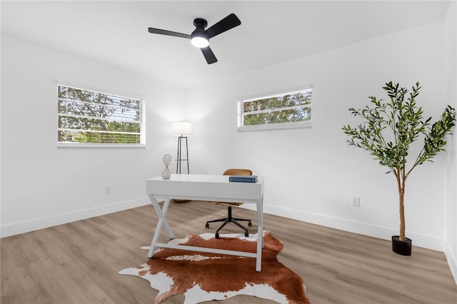 office featuring ceiling fan and light hardwood / wood-style flooring