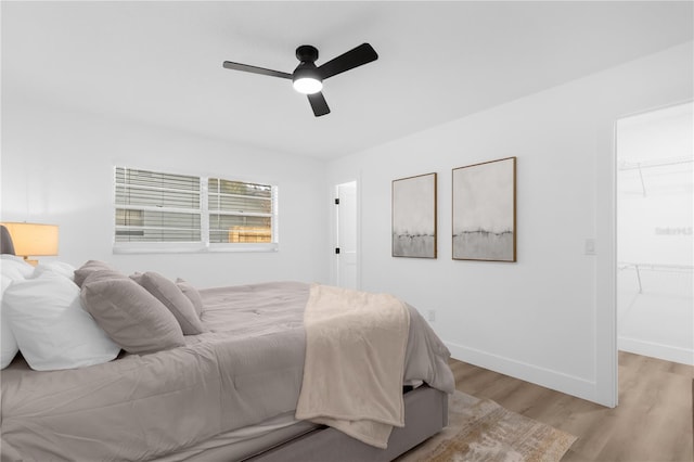 bedroom with a spacious closet, a closet, ceiling fan, and light hardwood / wood-style floors