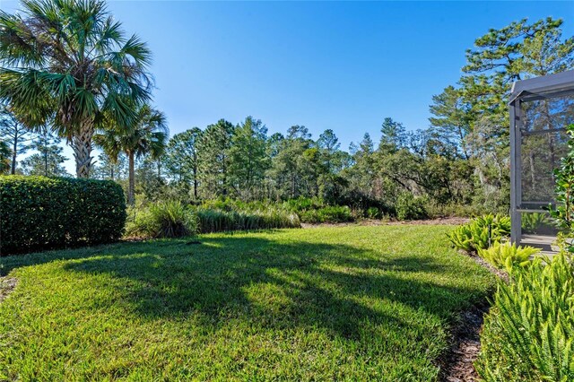 view of yard with a lanai