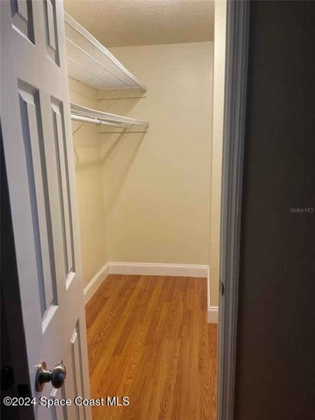 spacious closet with light hardwood / wood-style flooring