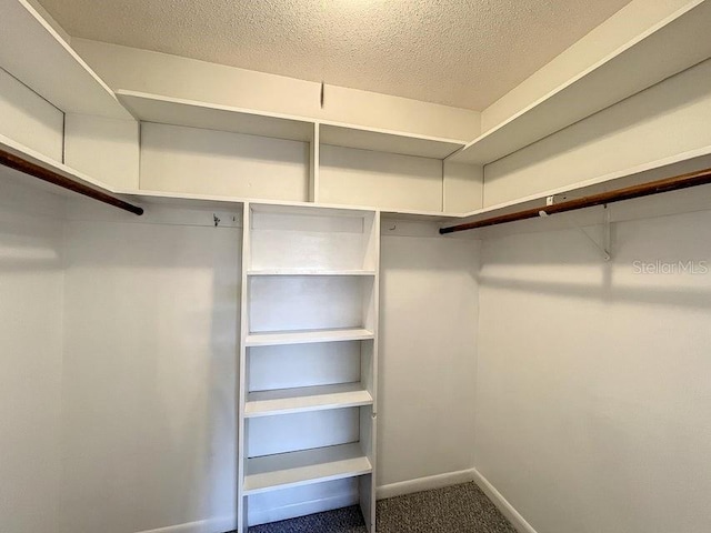 spacious closet with carpet flooring