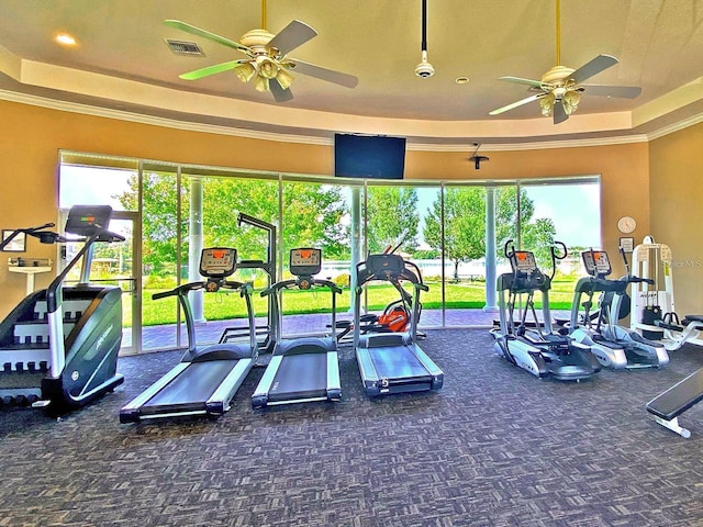 gym featuring a wealth of natural light, a tray ceiling, and ceiling fan