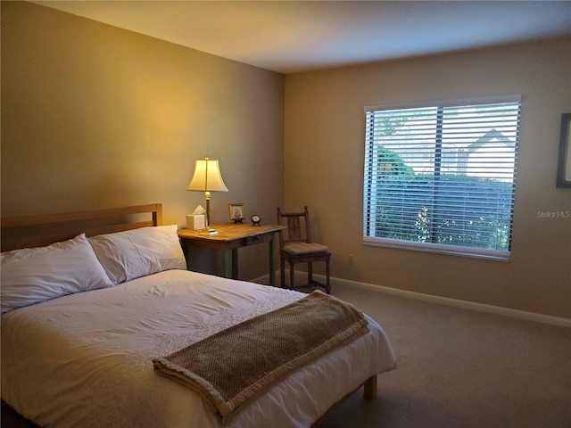 bedroom with carpet floors