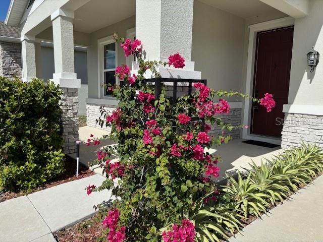 entrance to property with covered porch