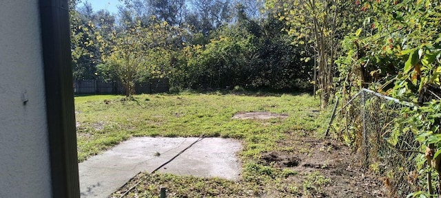 view of yard with a patio area