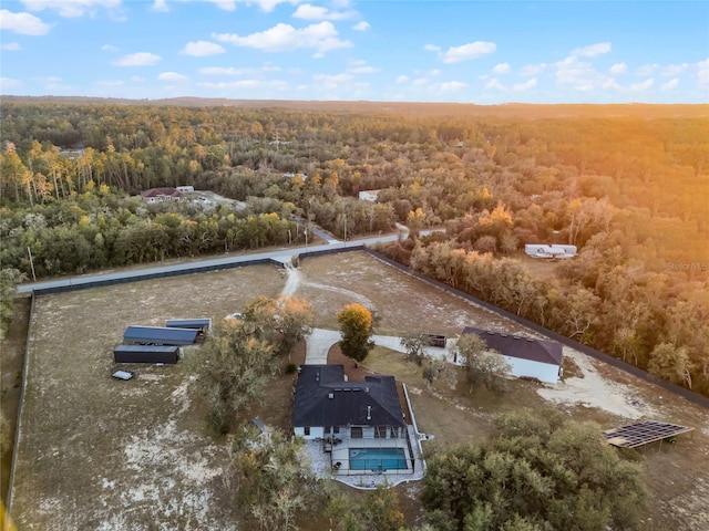 1681 E Evelyn St, Hernando, FL 34442 - view of subject property featuring a forest