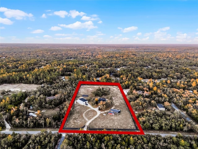 1681 E Evelyn St, Hernando, FL 34442 - aerial view of property and surrounding area featuring property boundaries highlighted and a forest