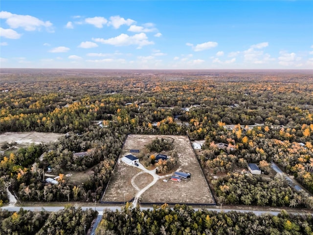 1681 E Evelyn St, Hernando, FL 34442 - bird's eye view of a forest