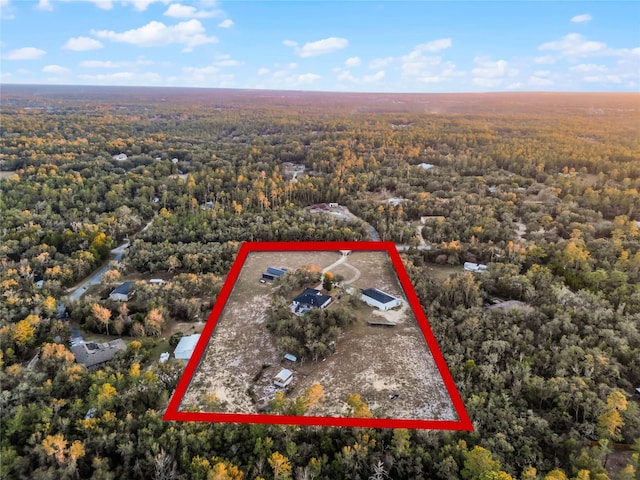 1681 E Evelyn St, Hernando, FL 34442 - aerial view of property's location with a forest and property boundaries highlighted