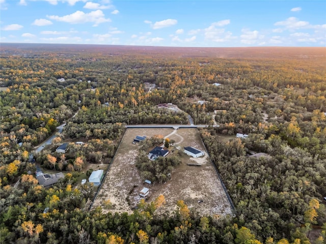 1681 E Evelyn St, Hernando, FL 34442 - view of property location with a forest