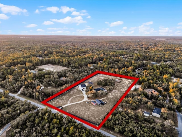 1681 E Evelyn St, Hernando, FL 34442 - aerial view of property and surrounding area featuring a forest and property parcel outlined