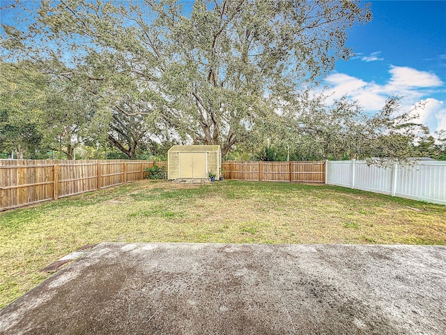 view of yard with a storage unit