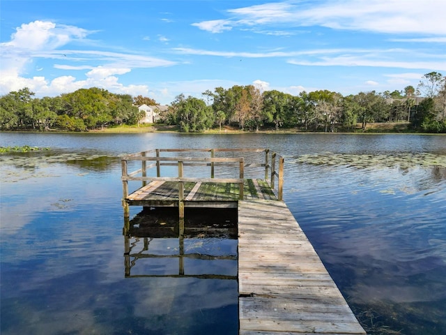 view of dock with a water view