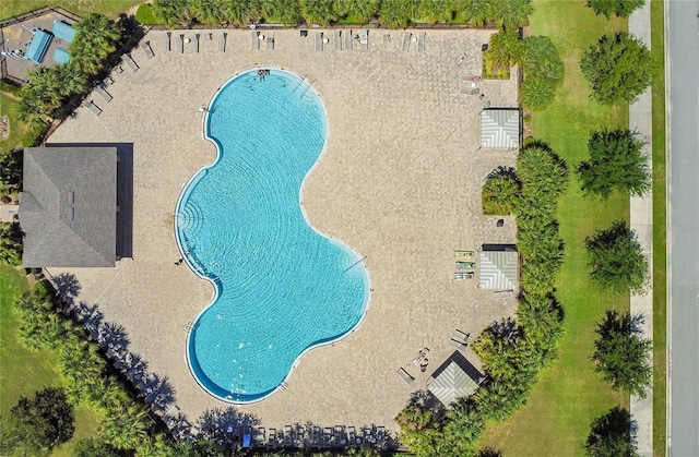 view of swimming pool