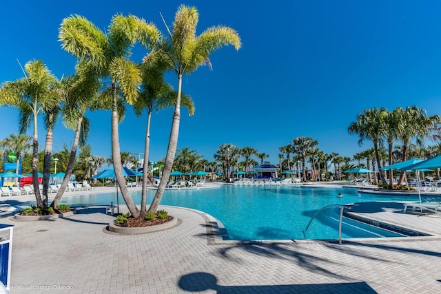 view of pool with a patio area