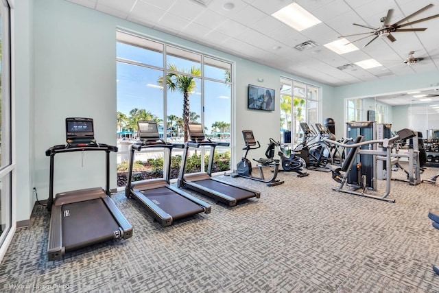 gym featuring a paneled ceiling, ceiling fan, and carpet flooring