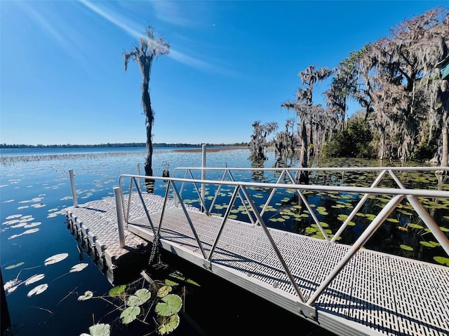 dock area featuring a water view