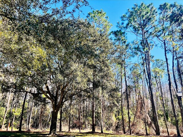 view of local wilderness featuring a view of trees