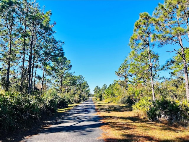 view of road