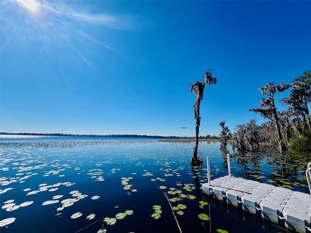 dock area with a water view